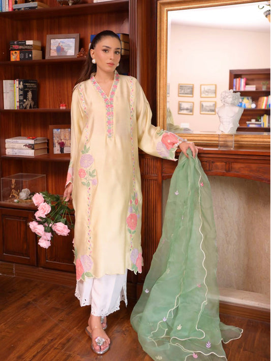 Rubab kurta