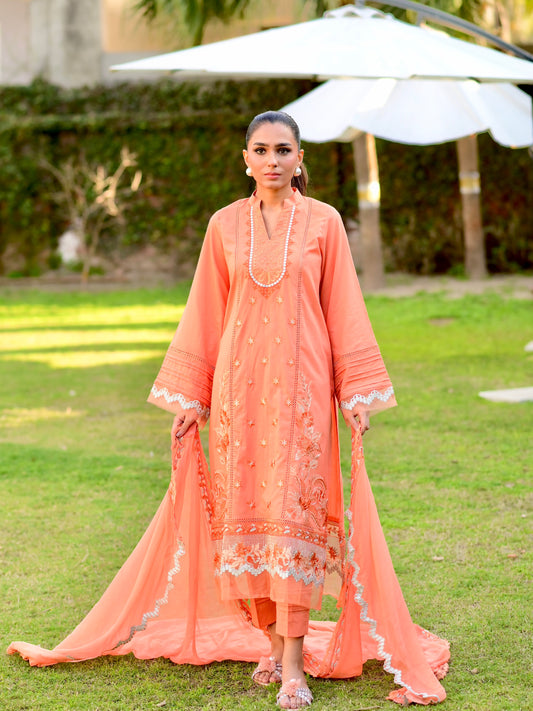 Meera 3pc set
