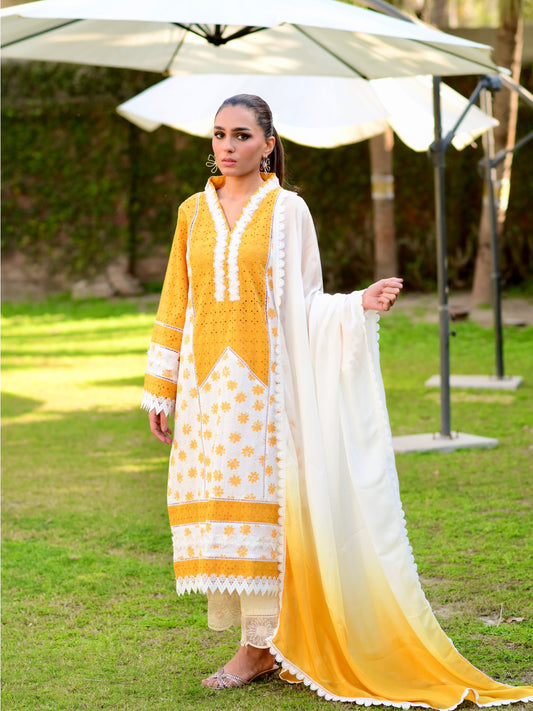 Sofie kurta